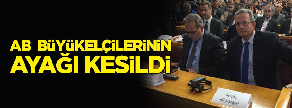 AB elçilerinin ayakları kesildi