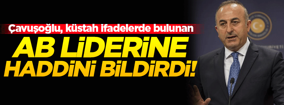 AB liderinin küstah açıklamasına tokat gibi cevap!