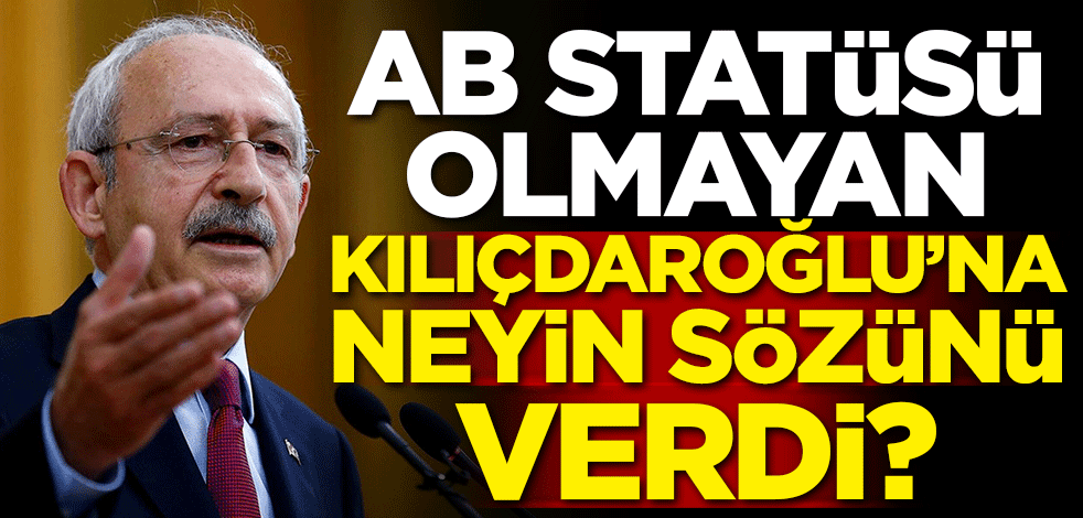 AB statüsü olmayan Kılıçdaroğlu'na neyin sözünü verdi?