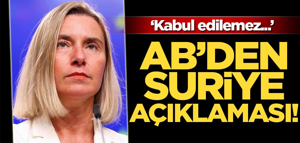 AB: Suriye rejiminin sivillere saldırısı kabul edilemez