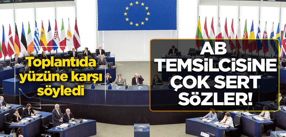 AB temsilcisine çok sert sözler! Toplantıda yüzüne karşı söyledi