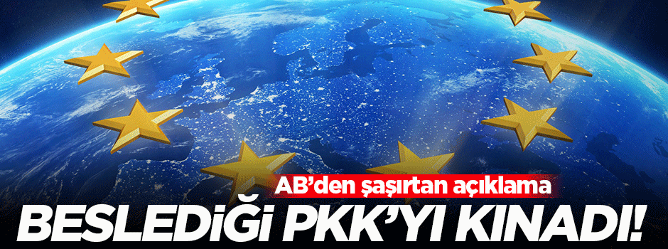 AB: Türkiye ile dayanışma içindeyiz