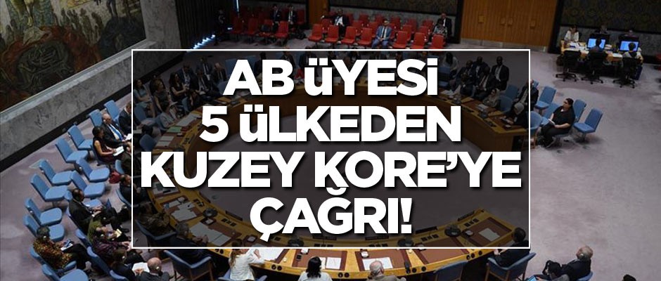 AB üyesi 5 ülkeden Kuzey Kore'ye çağrı