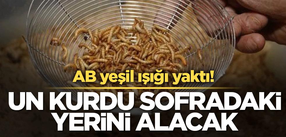 AB yeşil ışığı yaktı! Un kurdu sofradaki yerini alacak