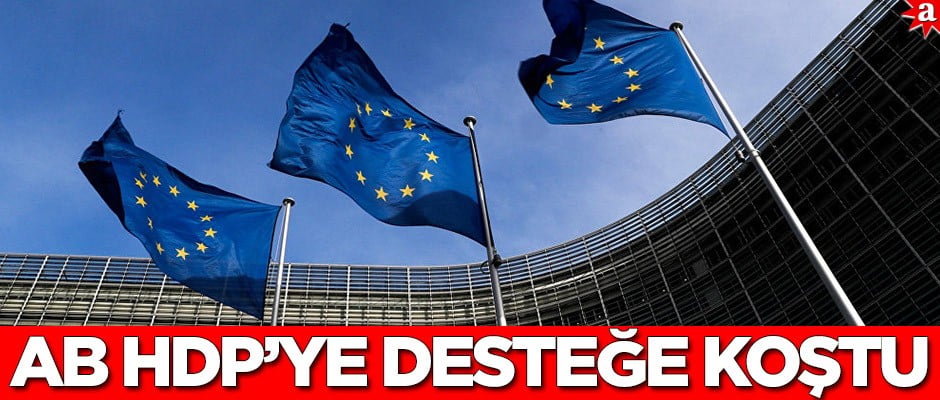 AB yine durmadı! HDP'ye desteğe koştu