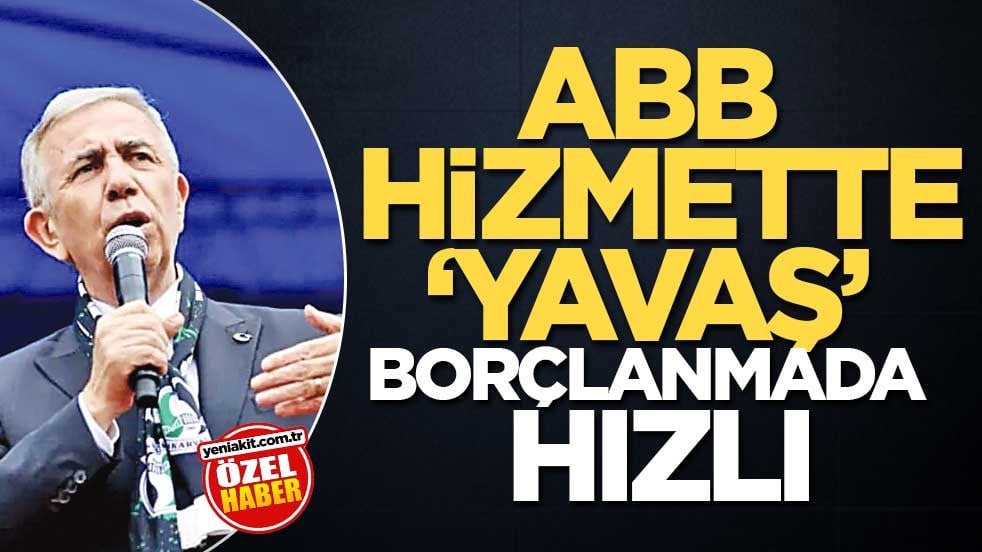 ABB hizmette ‘yavaş’ borçlanmada hızlı