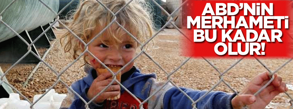 ABD: 300 Suriyeli mülteciyi alabiliriz