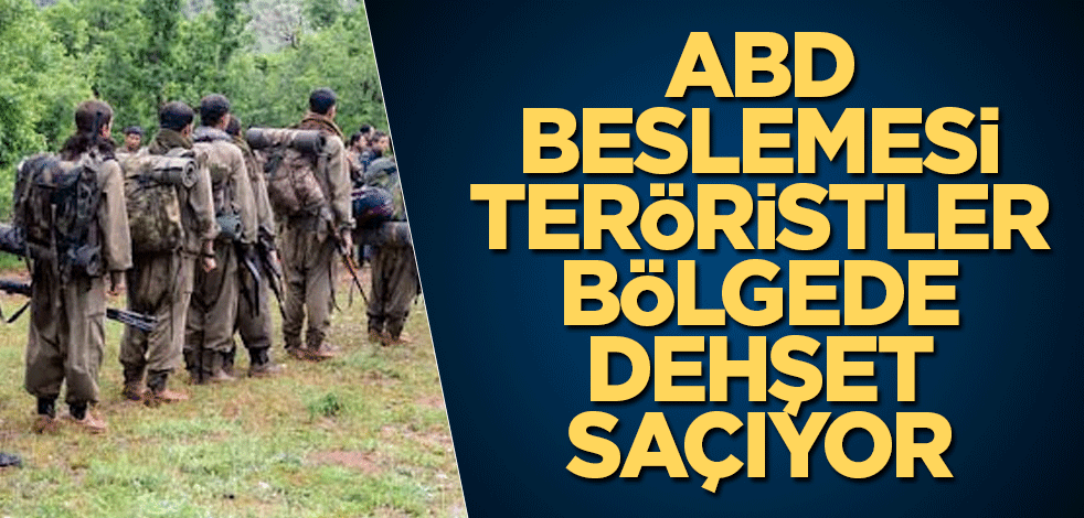 ABD beslemesi teröristler bölgede dehşet saçıyor