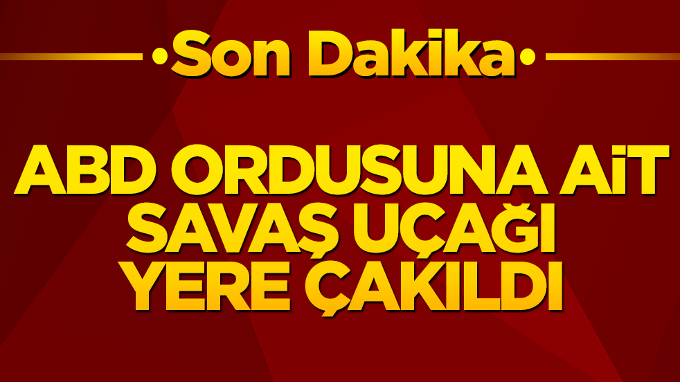 ABD ordusuna ait uçak yere çakıldı