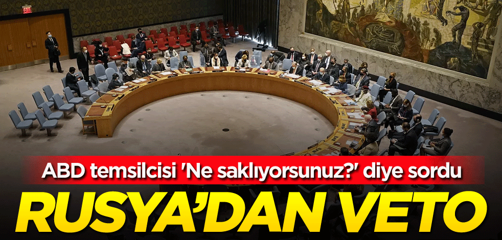 ABD temsilcisi 'Ne saklıyorsunuz?' diye sordu! Rusya'dan veto