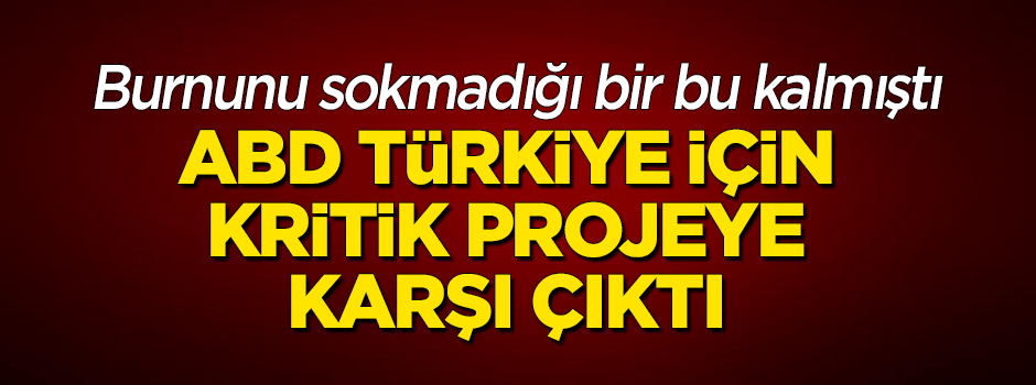 ABD Türk Akımı'na karşı çıktı