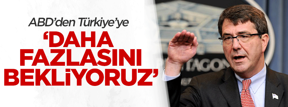 ABD: ''Türkiye IŞİD'e hava saldırısı yapmalı''