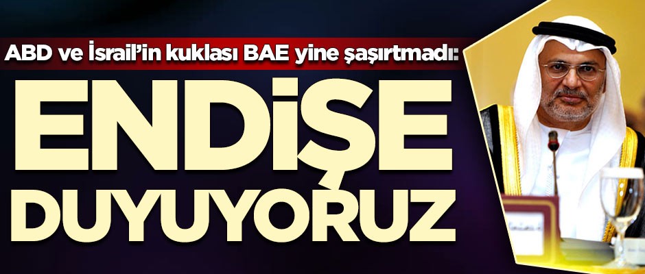 ABD ve İsrail'in kuklası BAE yine şaşırtmadı! YPG'nin durumundan endişe duyuyoruz