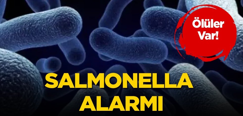 ABD ve Kanada’da! 2 Ülkeyi karıştıran kriz çıktı: Salmonella alarmı! Tüm ülkeleri ilgilendiriyor, kritik mesajlar