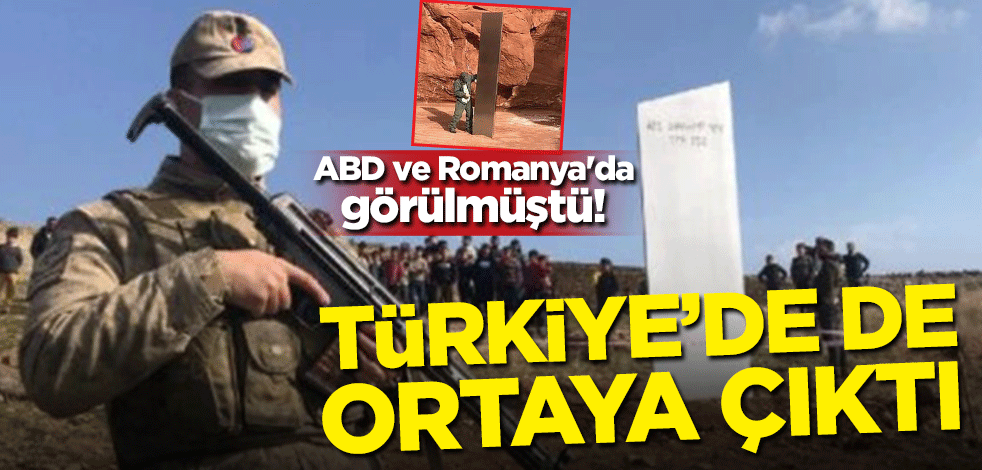 ABD ve Romanya'da görülmüştü! Türkiye'de de ortaya çıktı