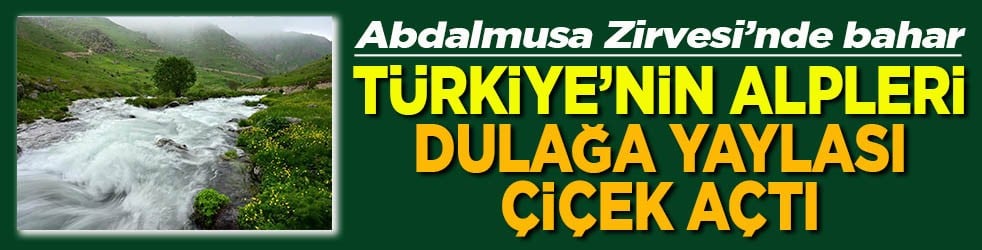 Abdalmusa Zirvesi’nde bahar Türkiye’nin Alpleri Dulağa Yaylası çiçek açtı