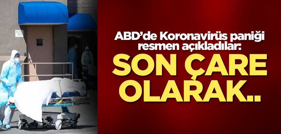 ABD'de çaresizlik! Parklar mezarlığa çevrilecek