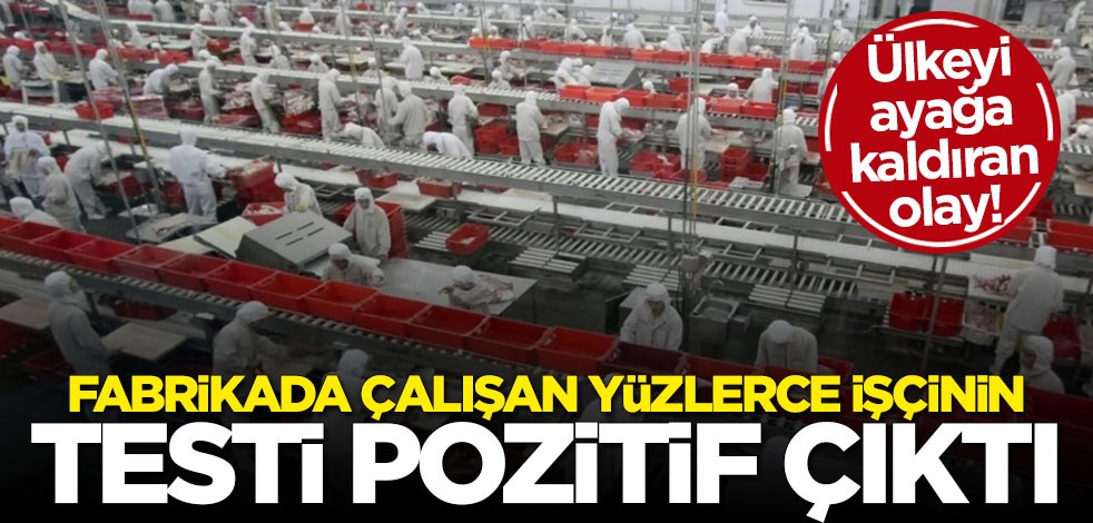 ABD'de domuz eti fabrikasında çalışan 370'ten fazla kişide koronavirüs tespit edildi