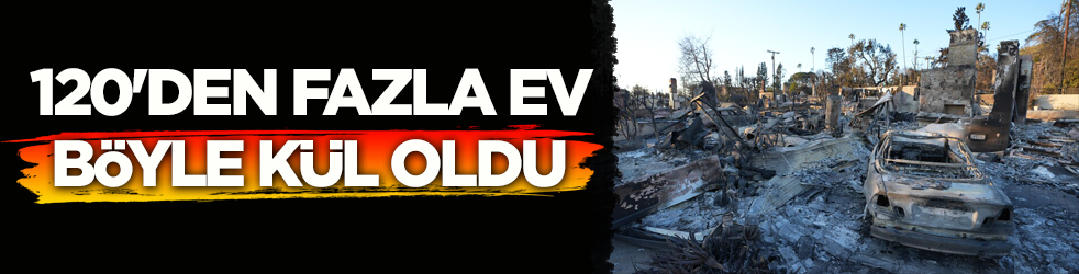 ABD'de orman yangınları sezonu başladı! 120'den fazla ev kül oldu