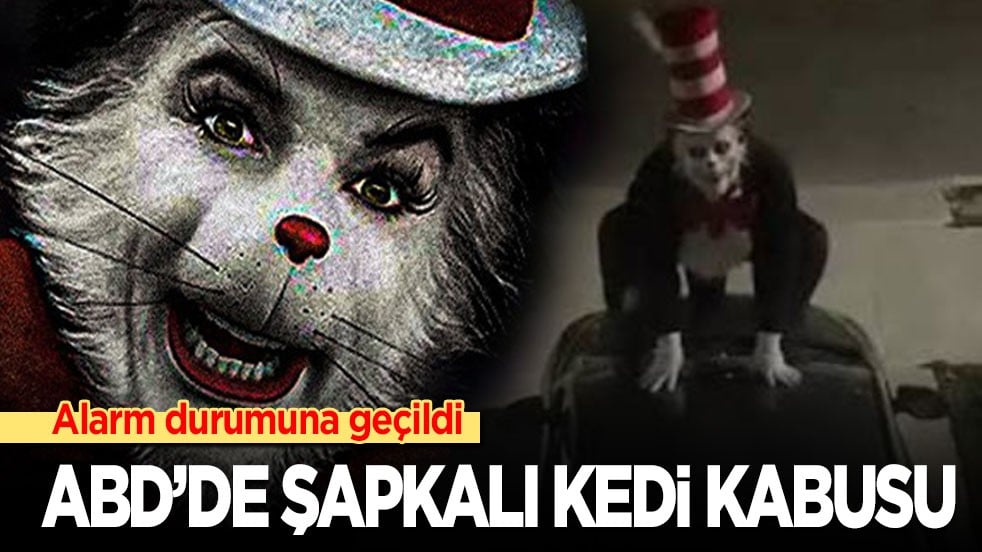 ABD’de Şapkalı Kedi kabusu: Alarm durumuna geçildi