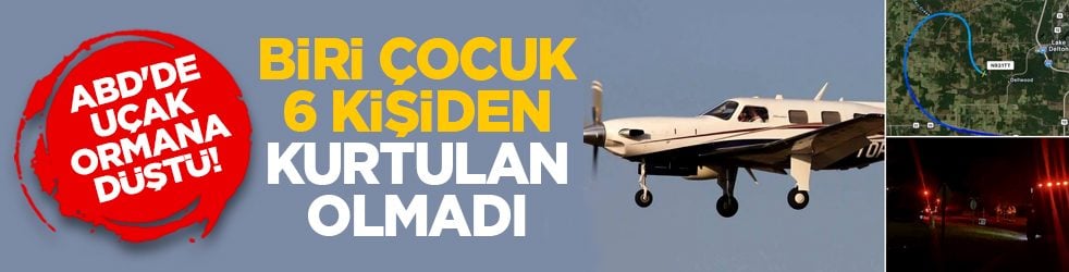 ABD'de uçak ormana düştü! Biri çocuk 6 kişiden kurtulan olmadı