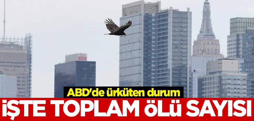 ABD'de ürküten durum! İşte toplam ölü sayısı