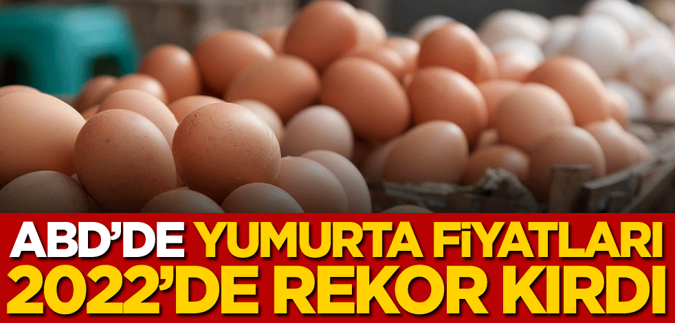 ABD'de yumurta fiyatları 2022'de rekor kırdı