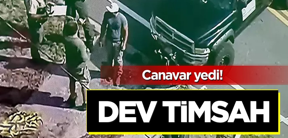 ABD’deki büyük panik, timsahlarıyla ünlü o kenti ayağa kaldırdı! Çenesinde ceset gören ABD'liler neye uğradığını şaşırdı!