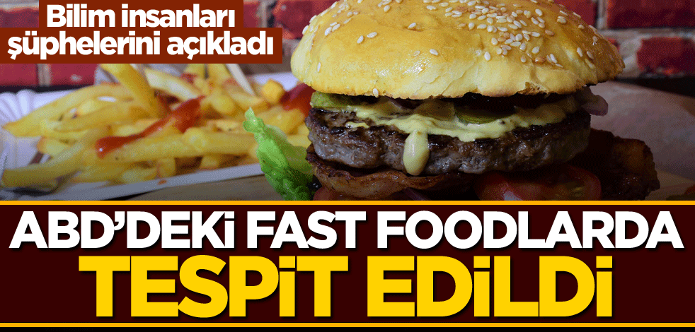 ABD'deki fast foodlarda tespit edildi! Bilim insanları şüphelerini açıkladı