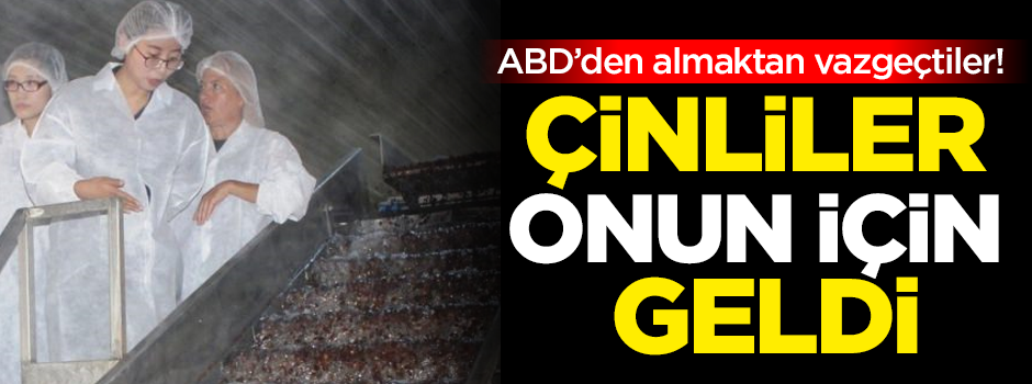 ABD'den almaktan vazgeçtiler!