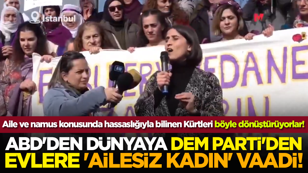 ABD'den dünyaya, DEM Parti'den evlere 'ailesiz kadın' vaadi!