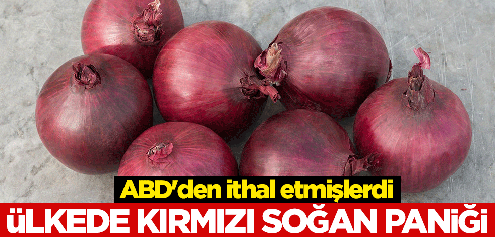 ABD'den ithal etmişlerdi! Ülkede kırmızı soğan paniği