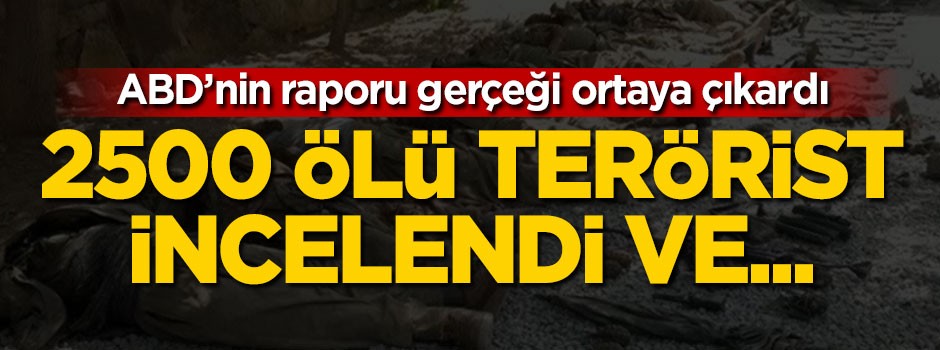 ABD'den PYD/PKK raporu: 2500 ölü terörist incelendi ve...