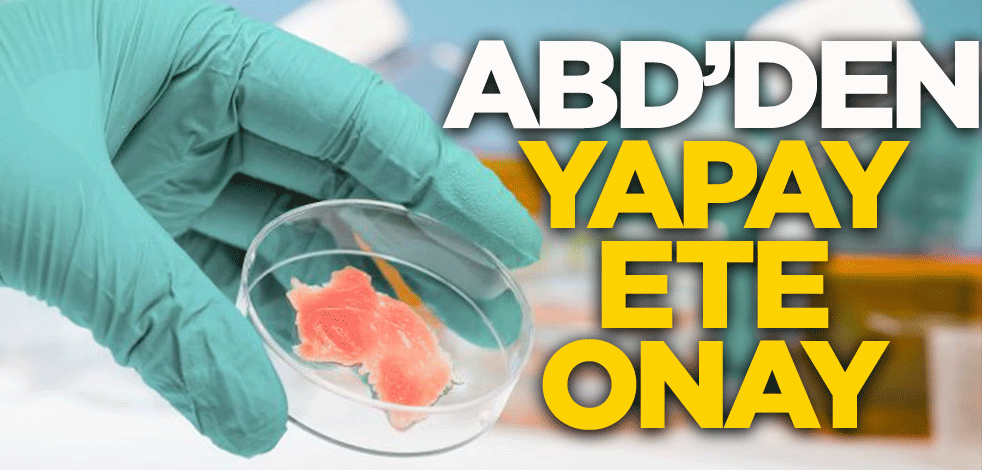 ABD'den yapay ete onay