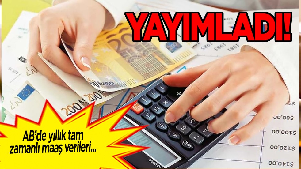 AB'de birçok ülkenin aylık ortalama maaşları 3 bin 500 Euro açıklandı! Bulgaristan ve iki ülke sınıfta kaldı...