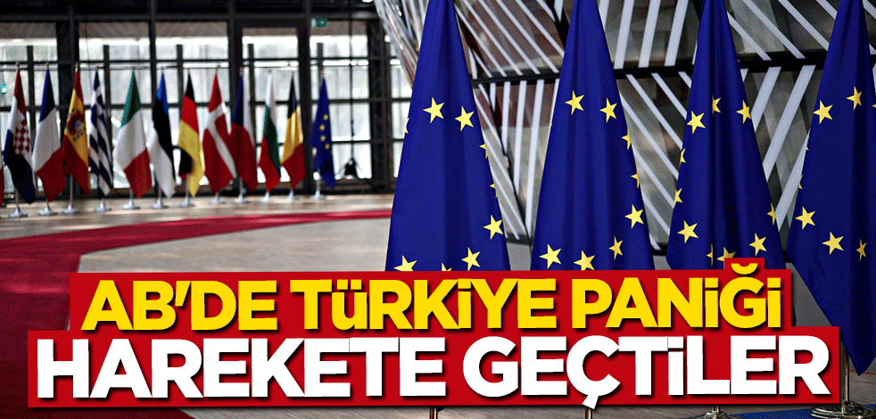 AB'de "Bölgedeki boşluğu Türkiye dolduruyor" paniği
