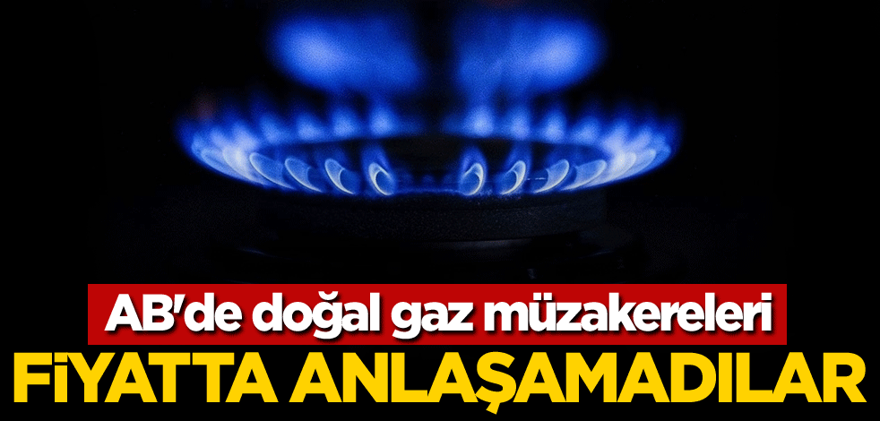 AB'de doğal gaz müzakereleri! Fiyatta anlaşamadılar