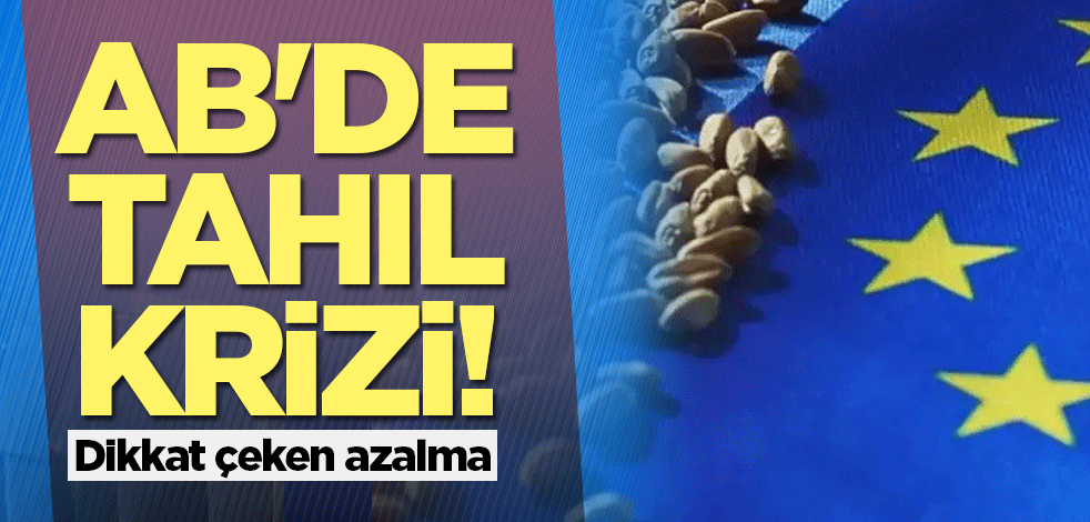 AB'de tahıl krizi! Dikkat çeken azalma
