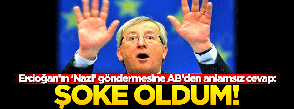 AB'den flaş 'Nazi' açıklaması: Şoke oldum!