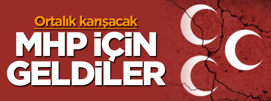 ABD'li heyetten MHP'ye ziyaret