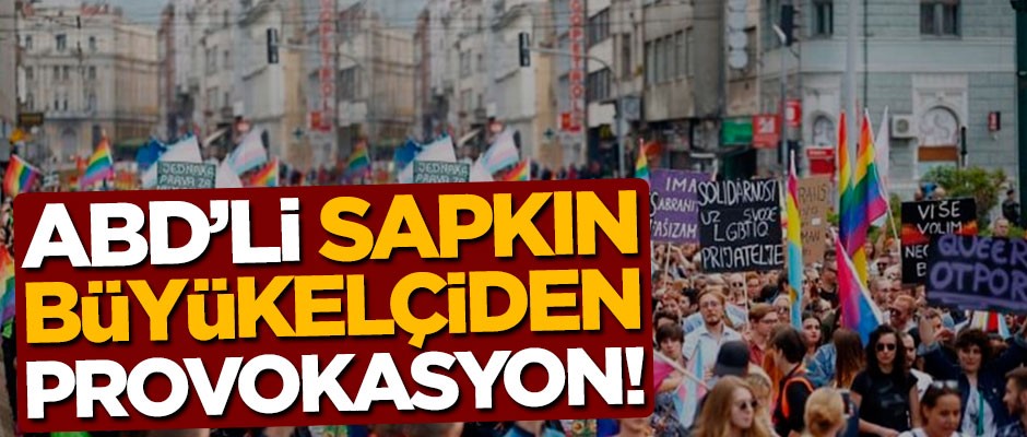 ABD'li sapkın büyükelçiden provokasyon!