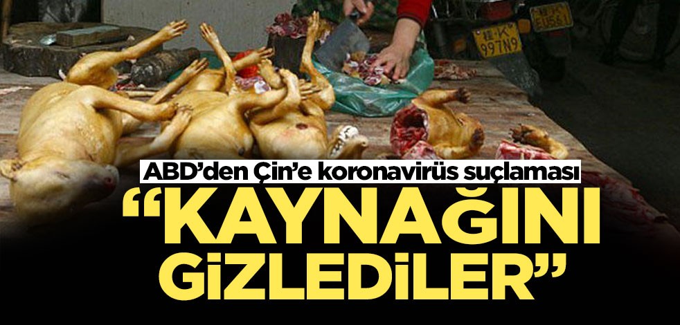 ABD'li Senatör Cotton Çin'i koronavirüsün kaynağını gizlemekle suçladı