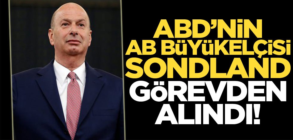 ABD'nin AB Büyükelçisi Sondland görevden alındı