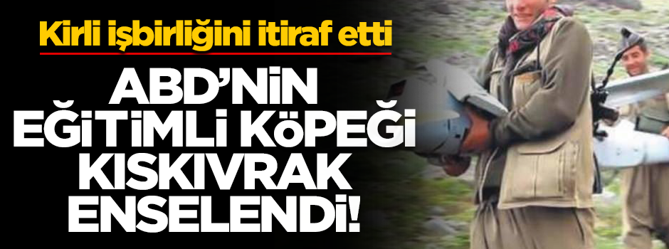 ABD'nin eğittiği PKK'lı terörist enselendi! Her şeyi itiraf etti