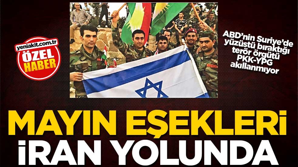 ABD’nin Suriye’de yüzüstü bıraktığı terör örgütü PKK-YPG akıllanmıyor! Mayın eşekleri İran yolunda