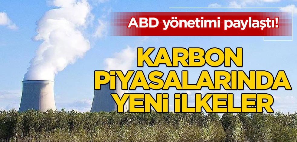 ABD'nin yetkili şirketi açıkladı: Gönüllü karbon piyasalarına katılma ilkeleri! Dünya ülkeleri için bu adım iddialı