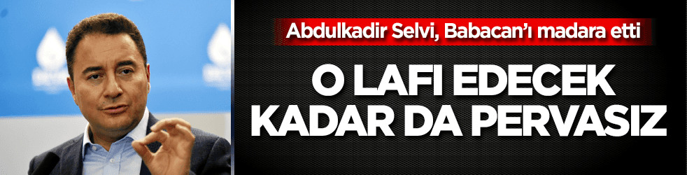 Abdulkadir Selvi, Babacan’ı madara etti