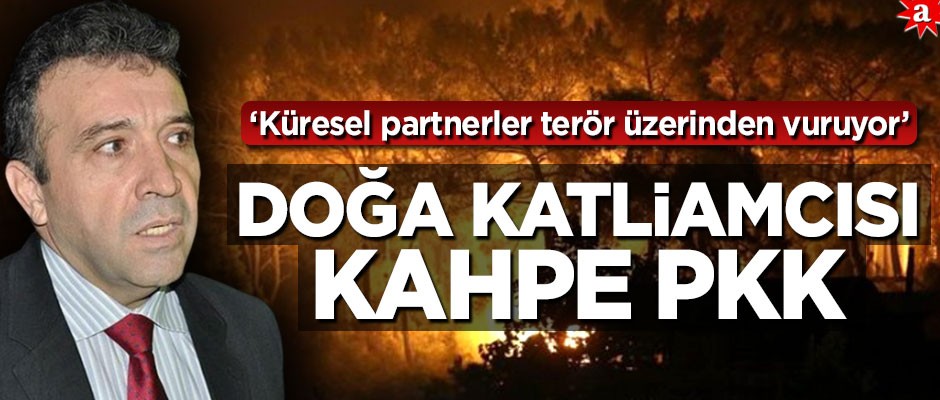 Abdullah Ağar: Doğa katliamcısı kahpe örgüt PKK