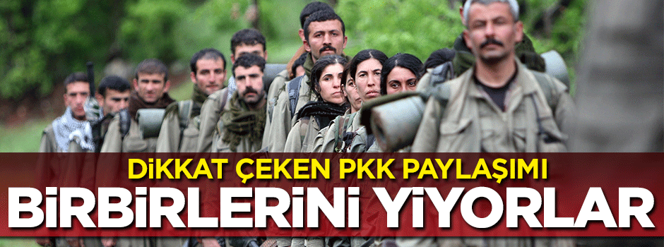 Abdullah Ağar'dan dikkat çeken PKK paylaşımı