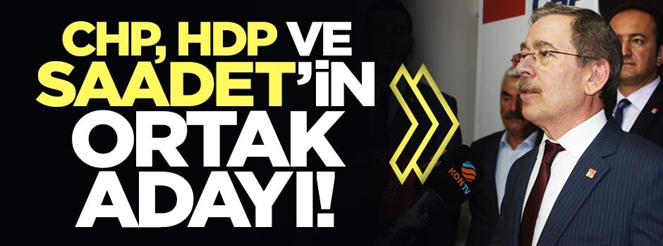 Abdüllatif Şener, CHP, HDP ve Saadet'in ortak adayı!